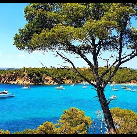 Appartement Pieds Dans L'Eau Vue Mer Bormes Les Mimosas Экстерьер фото