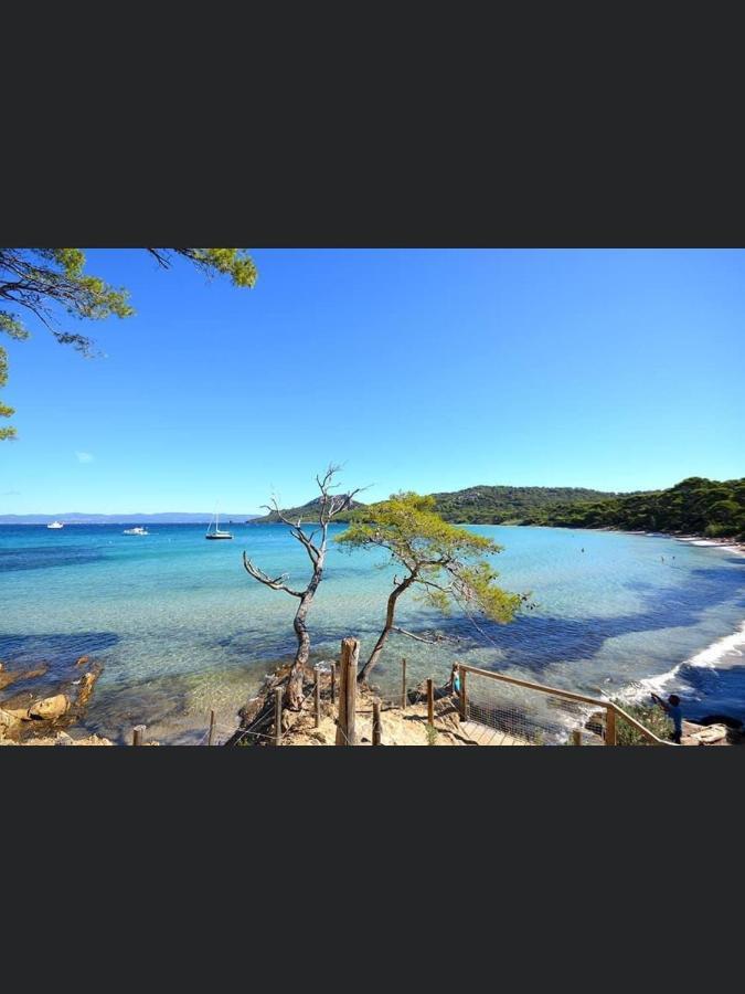 Appartement Pieds Dans L'Eau Vue Mer Bormes Les Mimosas Экстерьер фото