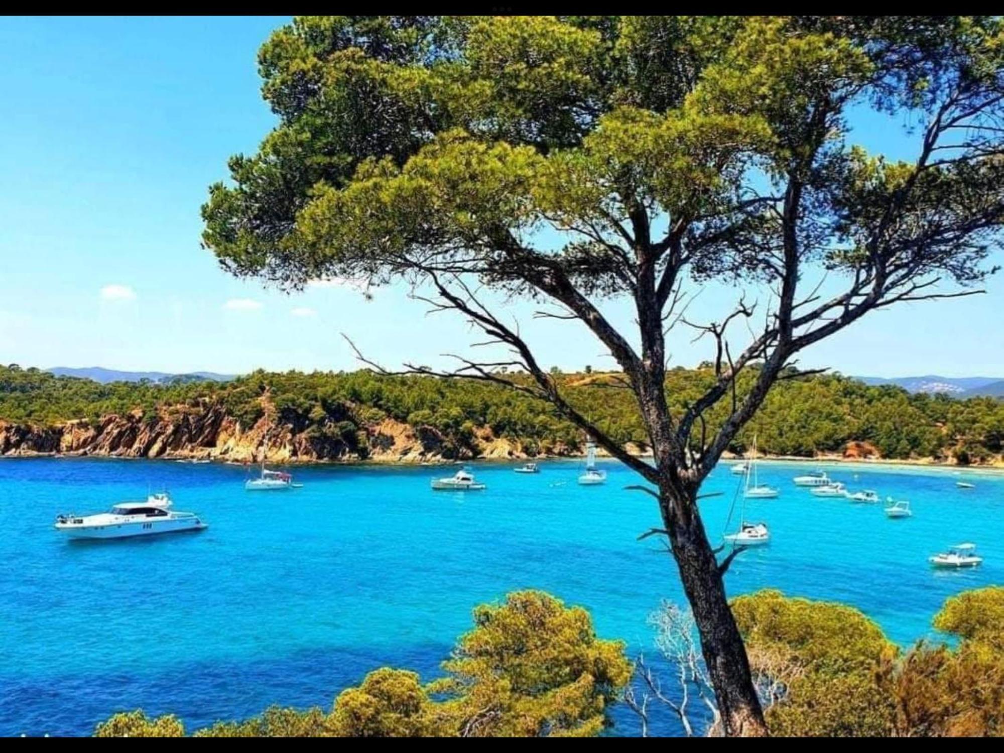 Appartement Pieds Dans L'Eau Vue Mer Bormes Les Mimosas Экстерьер фото