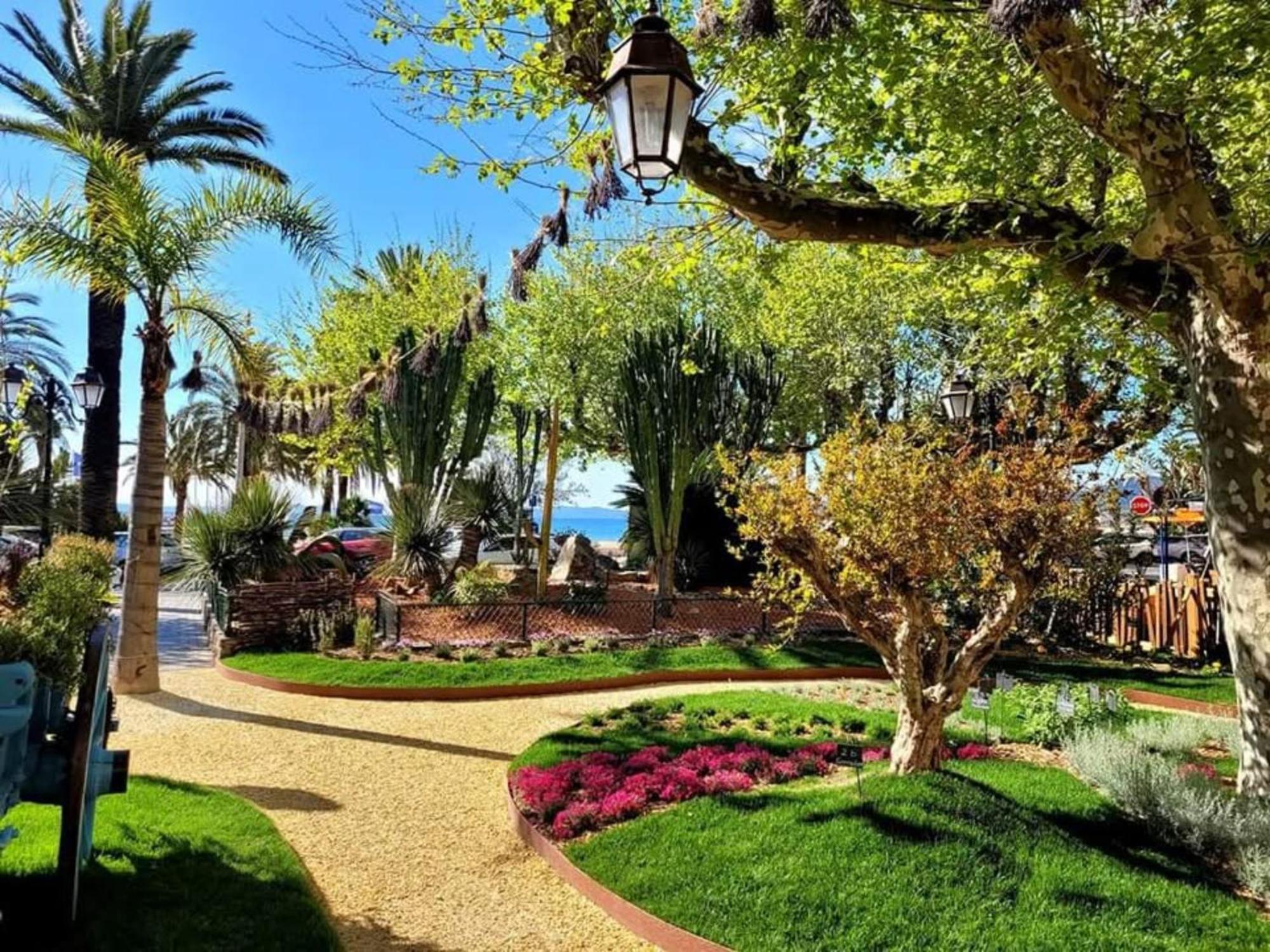 Appartement Pieds Dans L'Eau Vue Mer Bormes Les Mimosas Экстерьер фото